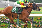 【競馬予想】[2]第77回朝日杯フューチュリティステークス(GⅠ) /2025