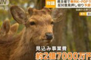 【公開処刑】奈良の２億円K-POPライブ、日本維新の会が原因と判明
