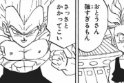 ベジータ「一撃でもくらわせたら遊園地連れてってやる」