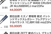 ワイ「草野球でも始めるで！まずはバットはっと……ん？」
