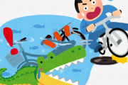自転車でコケる→土手を転げる→水に落ちる→近くにワニの巣→メスワニに襲われる→ワニ一家引っ越し