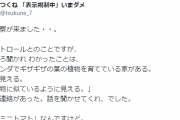 【悲報】ツイ民、ミニトマトを栽培してただけで警察に通報される