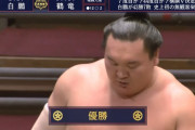 白鵬とかいうレジェンドの域に片足突っ込んでる力士yyyyyyyyyyyyyyyyyyyyyyyyyyyyyy
