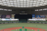 西武ドームの立見席ｗｗｗｗ