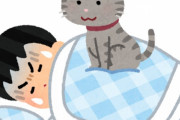 なぜ猫は、寝てるとき胸の上に乗ってくるのか