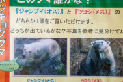 動物園「お前・・・まさか・・・女だったのか、、、！」