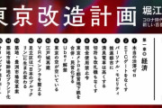 【東京都知事】ホリエモン政策発表。一覧がこちら