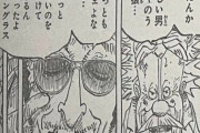 【悲報】ワンピースの黄猿、ガチで名言を吐いてしまうwywywywywywywy