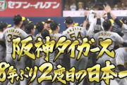 阪神タイガース日本一wwwwwwwwwwwwwwwwww
