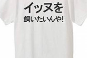 【GIF】イッヌ、賢過ぎる
