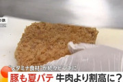 【悲報】とんかつがピンチ！牛肉より高値に？猛暑で豚が夏バテしてしまう