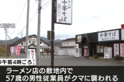 【青森】ラーメンの仕込み中にクマに襲われ男性けが「やられて、投げ返した」クマが逃げたので仕込み作業を続ける