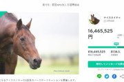 さすがの人気者だな！　1,600万円以上寄付が集まる！！！