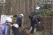山梨の行方不明女児捜索ボランティア、今度は熊に遭遇して負傷
