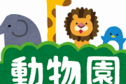 【無念】天才！志村どうぶつ園：9月いっぱいで閉園ｗｗｗｗｗｗｗｗｗｗｗｗｗｗｗｗ