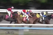 セレクト億超えの馬でクラシック目指すよりサマーセール500万の馬が高知で賞金億目指す方が夢ありそう
