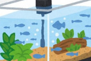 アクア民さん「アクアリウムやり始めてから命の重みが分からなくなってしまった…」