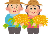 【悲報】コメ農家の倒産・廃業が急増、過去最多を更新へ！「作っても全然儲からない」「JAが全ての元凶」