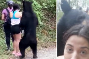 ハイキング中に遭遇したクマと自撮りする女性に驚きの声続出！