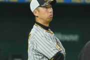 阪神・今岡真訪打撃コーチが退団　2023年に就任、岡田監督とともに去る…