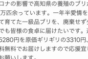【乞食速報】国産高級ブリが超お買い得！送料無料！！！