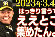 虎バン 阪神タイガース、3月～4月のええとこ選りすぐり動画
