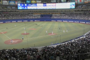 プロ野球、本日の観客動員数wwwwwwwwwwwwwwwwwwwwwwwwwwwwww