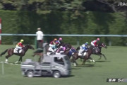 お前らは馬に例えると何クラス？