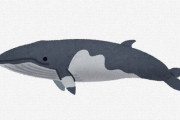 『クジラ＝鯨・勇魚』『イルカ＝海豚』←これはなんでなんや？？？？？？？？？？？？？？？？？