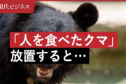 人間を食べたクマが「人は食べられる」と子どもに教える可能性　専門家が警告「食害の連鎖」を止めるのは簡単ではない