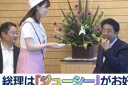 【画像】安倍総理の「ジューシー」を集めてみた結果