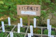 【悲報】苔界隈にもヒエラルキーがある