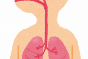 【不安】ワイ、肺に謎の違和感がある