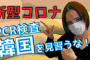 右翼「検査増やしたら医療崩壊する！韓国みたいになる！」←これなんだったん？