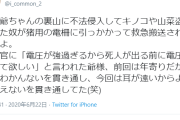 【画像】孫「爺ちゃんの裏山で山菜泥棒が電気罠にかかって緊急搬送されて草」