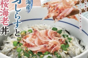 【新商品】なか卯、「生しらすと生桜海老の海鮮丼」を21日から！！！
