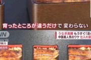 【画像】ウナギ、国産も外国産も変わらないことが判明ｗｗｗｗｗｗｗｗｗｗｗｗｗｗｗｗｗ