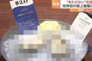 【ガチ朗報】世界初、“食あたりしない牡蠣”が登場！気になる味は…