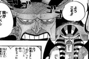 【悲報】モンキー・D・ルフィさん、敵キャラにとんでもない正論を吐かれるｗｗｗｗｗ