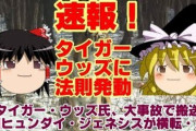 ネトウヨ「タイガー・ウッズの事故はヒュンダイのせい」→ 捜査当局「速度超過が原因です」 ヤフコメ民、まだ諦めない