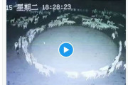 【謎】羊の群れが「12日間ずっと円を描いて歩き続ける怪現象」が発生…「UFOを呼ぶ儀式」「災いの前触れ」