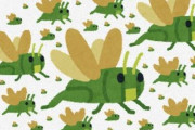 【悲報】大量のバッタ、ガチで忘れられる?