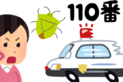 警視庁「あのさぁ・・・カメムシが出たとかスマホの充電ができないとかで110番するなよ！！」去年の通報の約2割が不要不急の内容