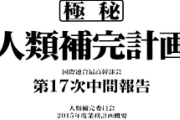人類補完計画って結局どういう事なんや？