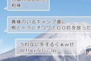 本日5月17日は『くぁwせdrftgyふじこlp』が生まれた日。　19年か･･･
