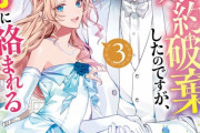ラノベ「悲劇のヒロインぶる妹のせいで」最新3巻予約開始！結婚式を前に花嫁交代の危機！？