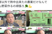 【正論】農家さん「野菜が高い？こっちだって人件費やコストがかかるんだよ」
