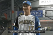 日本ハムが「HOKKAIDO 20th メモリアルユニフォーム」発表