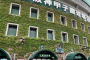 海外「甲子園で阪神戦を見てきた！」最高の体験になった日本の観光／アクティビティに対する海外の反応