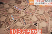 国民民主｢消費税5%！基礎控除178万円！給食費タダ！高校まで無償化！｣ 財務省｢死んでも飲めない｣